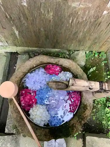 柳谷観音　楊谷寺の手水舎