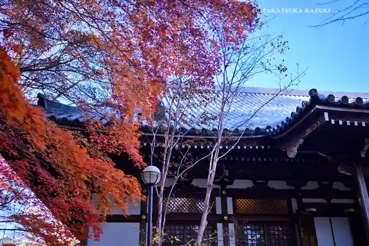 高幡不動尊 金剛寺(東京都)