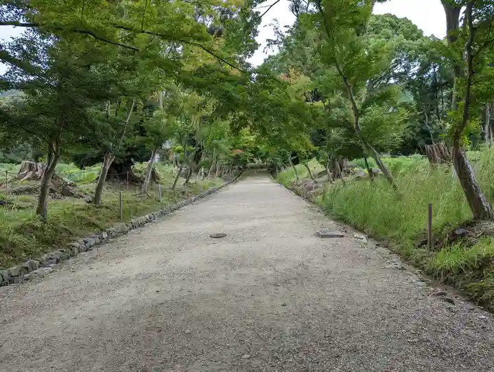 醍醐寺(京都府)
