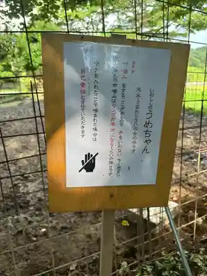 坪沼八幡神社(宮城県)