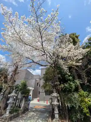 三谷八幡神社(東京都)