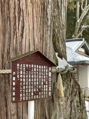 戸隠神社中社(長野県)