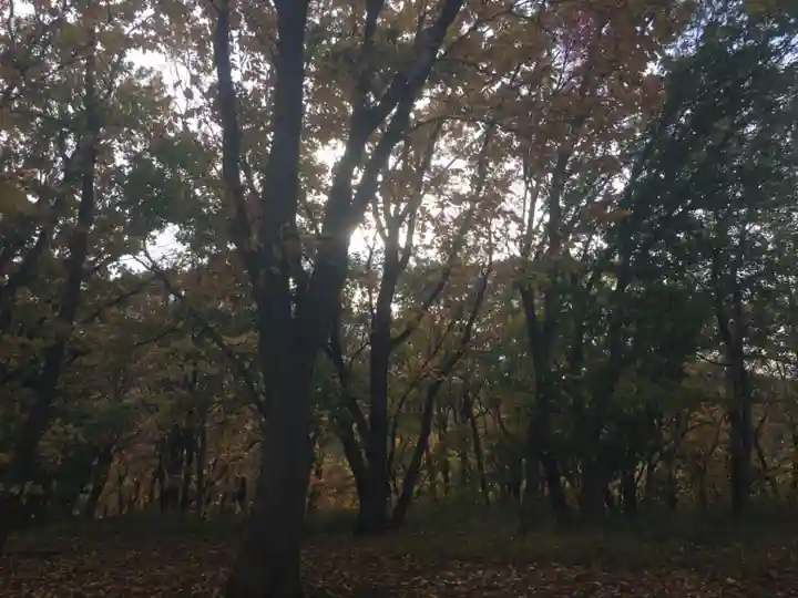 星置神社(北海道)