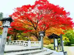 土津神社｜こどもと出世の神さまの自然