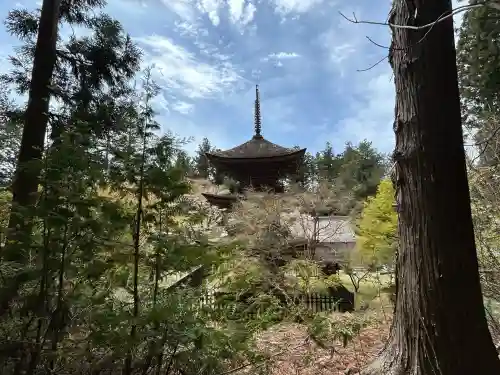 新海三社神社の{uncategorized: "未分類", other: "その他", undefined: "問題あり", building: "その他建物", grave: "お墓", sacred_gate: "鳥居", guardian: "狛犬", statue: "像", buddha: "仏像", history: "歴史", nature: "自然", garden: "庭園", animal: "動物", pagoda: "塔", temizu: "手水舎", mountain_gate: "山門・神門", sanctuary: "本殿・本堂", subordinate: "末社・摂社", art: "芸術", scenery: "景色", jizo: "地蔵", ema: "絵馬", goshuin: "御朱印", omikuji: "おみくじ", items: "授与品その他", amulet: "お守り", goshuincho: "御朱印帳", eats: "食事", festival: "お祭り", votive_dance: "神楽", shichigosan: "七五三参", wedding: "結婚式", experience: "体験その他", initially: "初詣", around: "周辺", anti_infection: "感染症対策"}