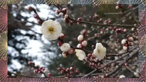 下野 星宮神社(栃木県)