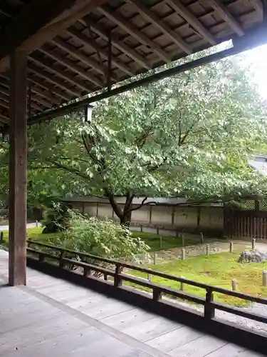 常照皇寺の庭園