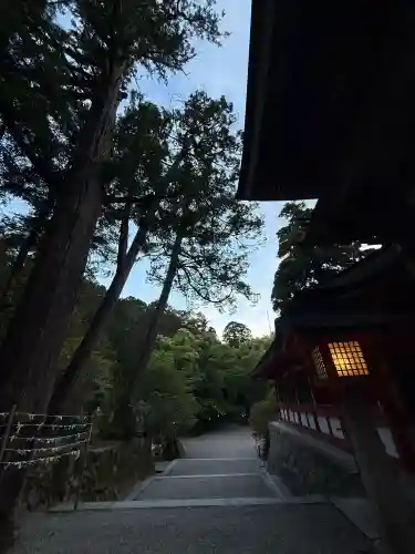 石上神宮の{uncategorized: "未分類", other: "その他", undefined: "問題あり", building: "その他建物", grave: "お墓", sacred_gate: "鳥居", guardian: "狛犬", statue: "像", buddha: "仏像", history: "歴史", nature: "自然", garden: "庭園", animal: "動物", pagoda: "塔", temizu: "手水舎", mountain_gate: "山門・神門", sanctuary: "本殿・本堂", subordinate: "末社・摂社", art: "芸術", scenery: "景色", jizo: "地蔵", ema: "絵馬", goshuin: "御朱印", omikuji: "おみくじ", items: "授与品その他", amulet: "お守り", goshuincho: "御朱印帳", eats: "食事", festival: "お祭り", votive_dance: "神楽", shichigosan: "七五三参", wedding: "結婚式", experience: "体験その他", initially: "初詣", around: "周辺", anti_infection: "感染症対策"}