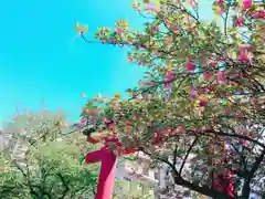 亀戸天神社の自然