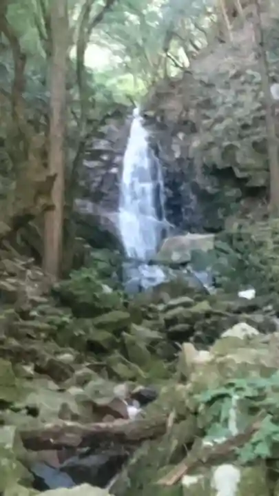 杉神社(鳥取県)