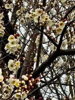 光源院(京都府)