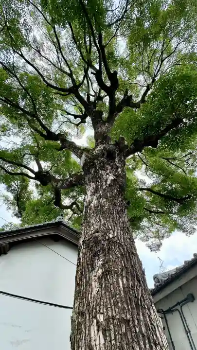 彌刀神社(大阪府)