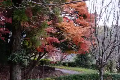 宮地嶽神社(福岡県)