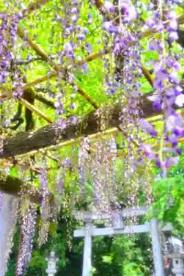日吉神社(東京都)