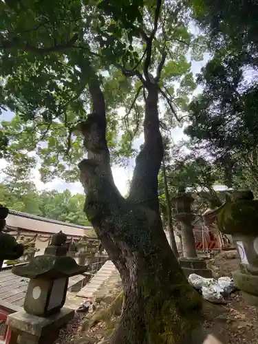 夫婦大國社（春日大社末社）(奈良県)