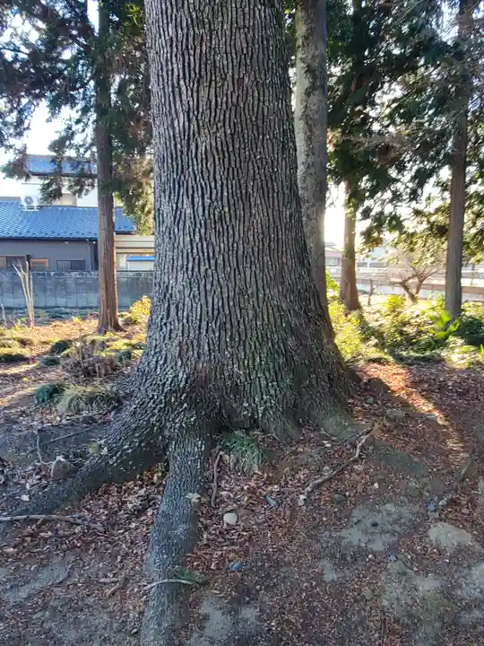 稲荷神社(栃木県)