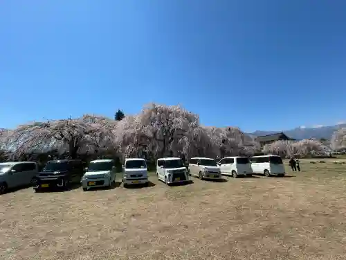 安養寺の{uncategorized: "未分類", other: "その他", undefined: "問題あり", building: "その他建物", grave: "お墓", sacred_gate: "鳥居", guardian: "狛犬", statue: "像", buddha: "仏像", history: "歴史", nature: "自然", garden: "庭園", animal: "動物", pagoda: "塔", temizu: "手水舎", mountain_gate: "山門・神門", sanctuary: "本殿・本堂", subordinate: "末社・摂社", art: "芸術", scenery: "景色", jizo: "地蔵", ema: "絵馬", goshuin: "御朱印", omikuji: "おみくじ", items: "授与品その他", amulet: "お守り", goshuincho: "御朱印帳", eats: "食事", festival: "お祭り", votive_dance: "神楽", shichigosan: "七五三参", wedding: "結婚式", experience: "体験その他", initially: "初詣", around: "周辺", anti_infection: "感染症対策"}