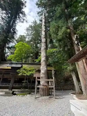 諏訪大社下社春宮(長野県)
