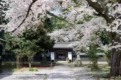 守りの神　藤基神社の山門・神門
