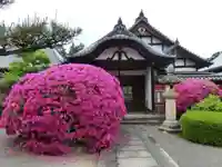當麻寺 奥院の自然
