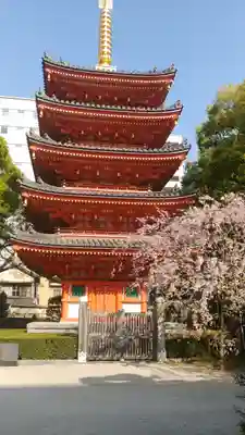 東長寺の塔