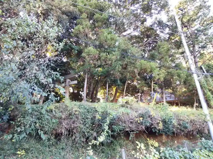 天津神社(千葉県)