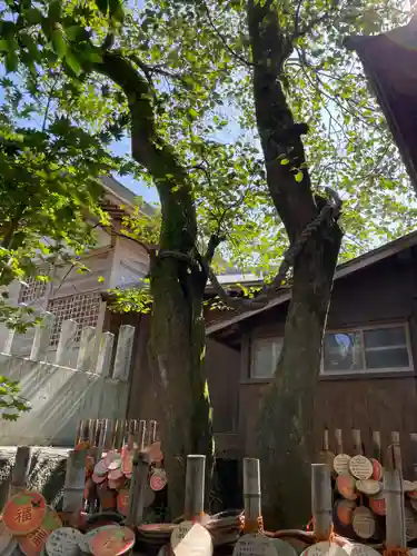 雲仙温泉神社(長崎県)