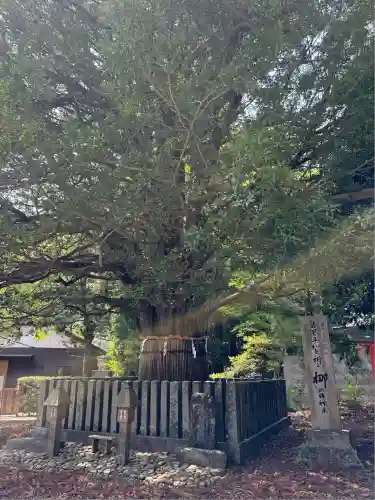熊野速玉大社(和歌山県)
