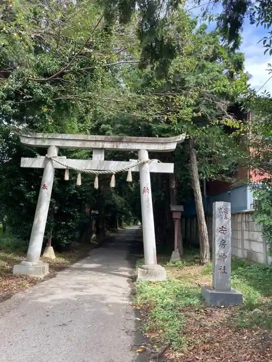 安房神社の鳥居