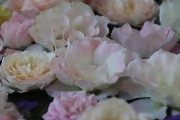 田村神社の手水舎