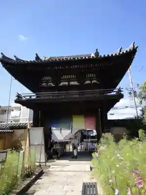 般若寺 ❁﻿コスモス寺❁(奈良県)