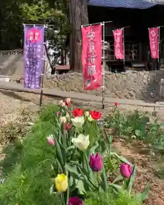 高司神社〜むすびの神の鎮まる社〜(福島県)(2023年04月14日(金) 09時22分46秒投稿)