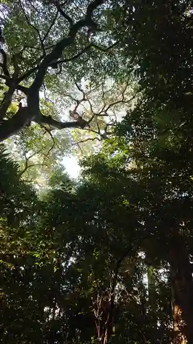 尾張大國霊神社（国府宮）の自然