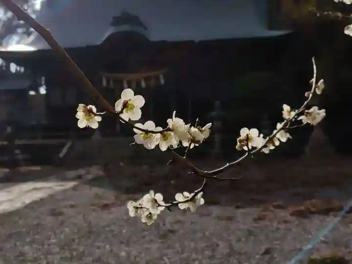 豊景神社(福島県)