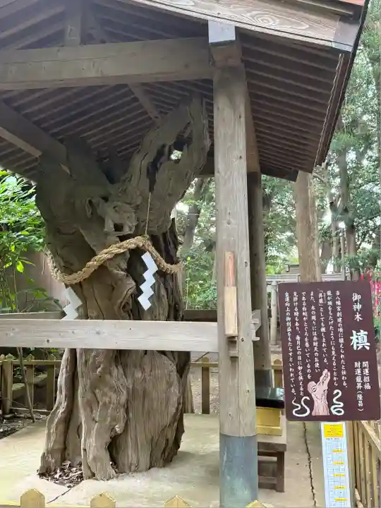 鶴嶺八幡宮(神奈川県)