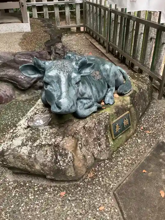 両社宮神社(宮町)の狛犬