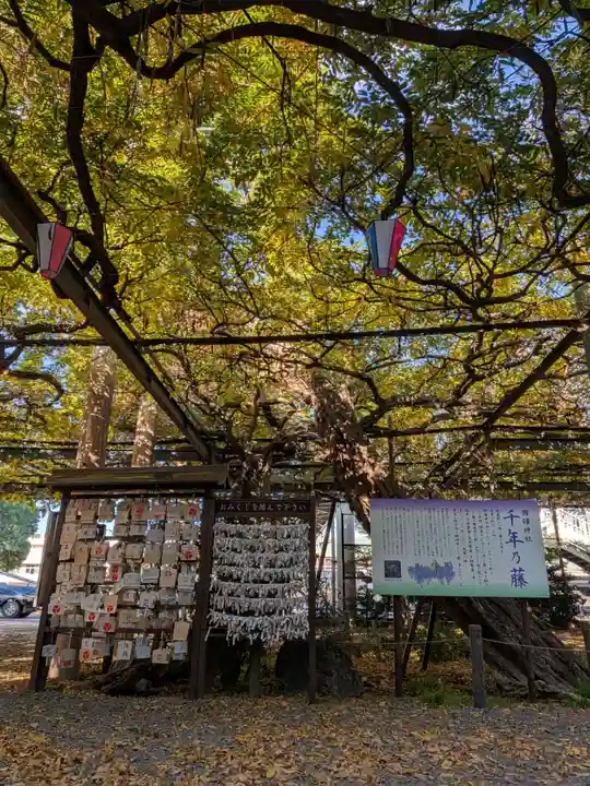 國領神社(東京都)