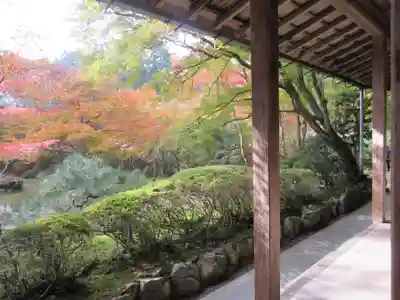 西明寺のその他建物