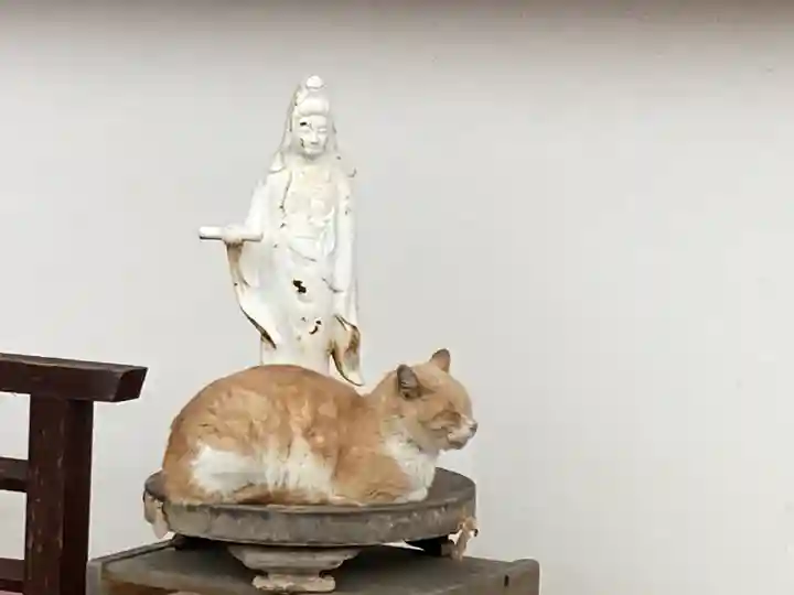 南法華寺(壷阪寺)の動物