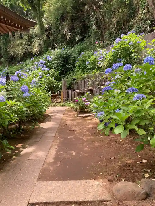 妙楽寺(神奈川県)