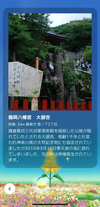 鶴岡八幡宮の{uncategorized: "未分類", other: "その他", undefined: "問題あり", building: "その他建物", grave: "お墓", sacred_gate: "鳥居", guardian: "狛犬", statue: "像", buddha: "仏像", history: "歴史", nature: "自然", garden: "庭園", animal: "動物", pagoda: "塔", temizu: "手水舎", mountain_gate: "山門・神門", sanctuary: "本殿・本堂", subordinate: "末社・摂社", art: "芸術", scenery: "景色", jizo: "地蔵", ema: "絵馬", goshuin: "御朱印", omikuji: "おみくじ", items: "授与品その他", amulet: "お守り", goshuincho: "御朱印帳", eats: "食事", festival: "お祭り", votive_dance: "神楽", shichigosan: "七五三参", wedding: "結婚式", experience: "体験その他", initially: "初詣", around: "周辺", anti_infection: "感染症対策"}