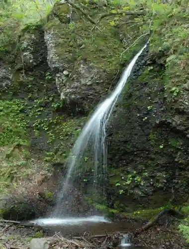 虚空蔵尊南光院の自然