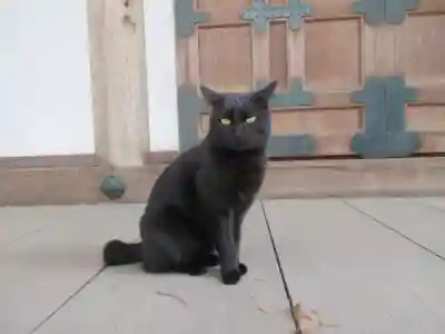 王禅寺(神奈川県)