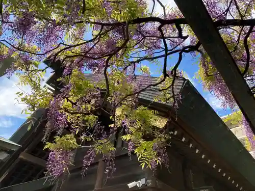 國領神社(東京都)