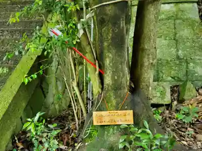 加茂神社のその他建物