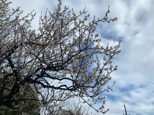 山田天満宮(愛知県)