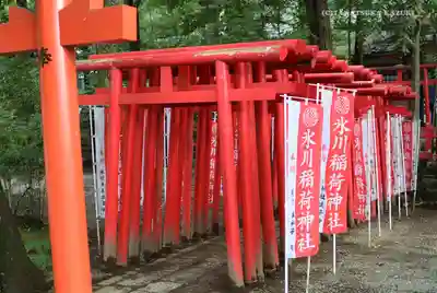 武蔵一宮氷川神社の鳥居