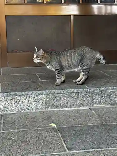 王子神社(徳島県)