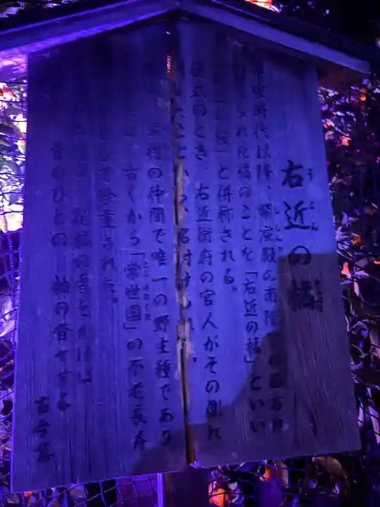 平安神宮(京都府)