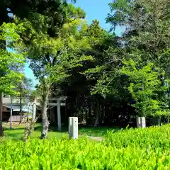 八坂神社(静岡県)